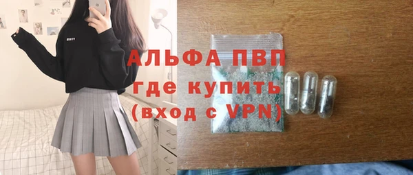 сатива Арсеньев