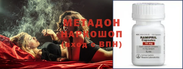 сатива Арсеньев