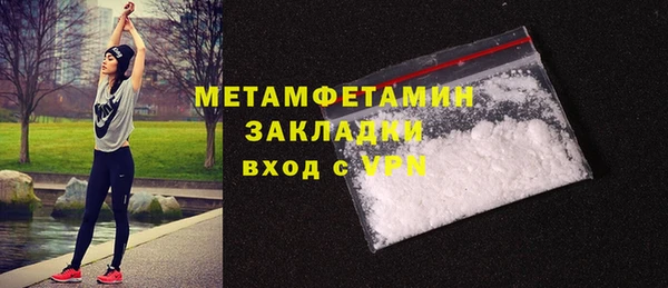 прущие грибы Балабаново
