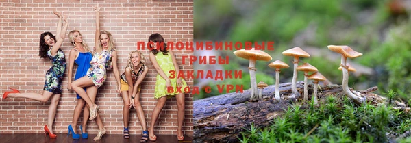 сатива Арсеньев