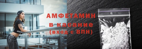 прущие грибы Балабаново