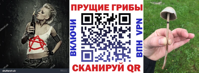 Псилоцибиновые грибы ЛСД  Междуреченск 